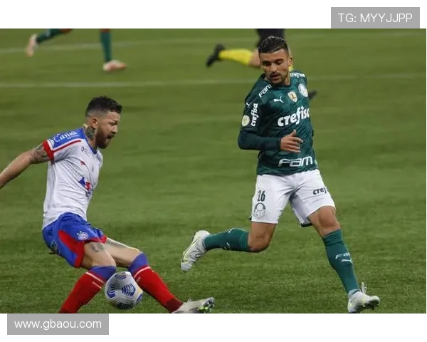 巴甲联赛国际体育（巴甲赛程累体育）sports